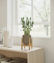 Load image into Gallery viewer, Olive stand:bamboo