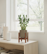 Load image into Gallery viewer, Olive stand:walnut