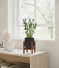 Load image into Gallery viewer, Black stand:walnut