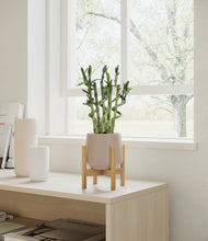 Load image into Gallery viewer, Eternal Gray stand:bamboo