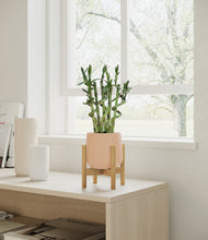 Load image into Gallery viewer, Gentle Pink stand:bamboo