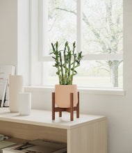 Load image into Gallery viewer, Gentle Pink stand:walnut