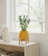 Load image into Gallery viewer, Mustard stand:bamboo
