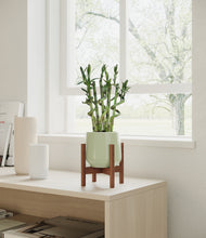 Load image into Gallery viewer, Turquoise stand:walnut