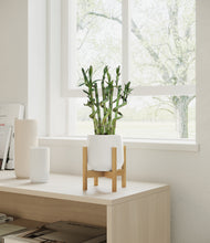 Load image into Gallery viewer, White stand:bamboo