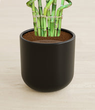 Load image into Gallery viewer, Stone Black stand:all