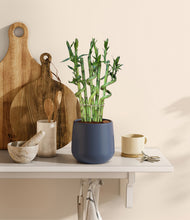 Load image into Gallery viewer, Deep Navy