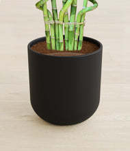 Load image into Gallery viewer, Stone Black stand:all