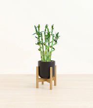 Load image into Gallery viewer, Stone Black stand:bamboo
