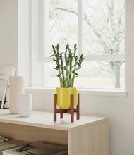 Load image into Gallery viewer, Key Lime Yellow stand:walnut