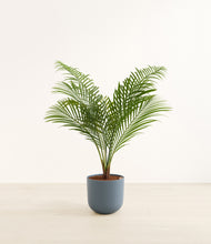 Load image into Gallery viewer, Iron Gray*****Profile