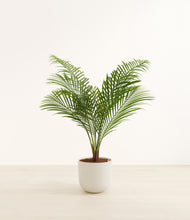 Load image into Gallery viewer, Natural Bamboo*****Profile