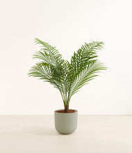 Load image into Gallery viewer, Sage Green*****Profile