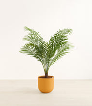 Load image into Gallery viewer, Sunset Orange*****Profile