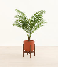 Load image into Gallery viewer, Earth Red stand:walnut