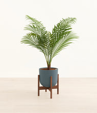 Load image into Gallery viewer, Iron Gray stand:walnut