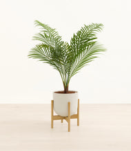 Load image into Gallery viewer, Natural Bamboo stand:bamboo