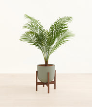 Load image into Gallery viewer, Sage Green stand:walnut