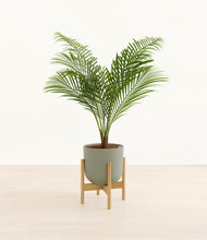 Load image into Gallery viewer, Sage Green stand:bamboo