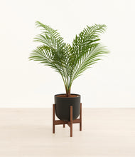 Load image into Gallery viewer, Stone Black stand:walnut