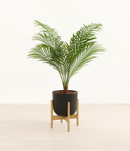 Load image into Gallery viewer, Stone Black stand:bamboo