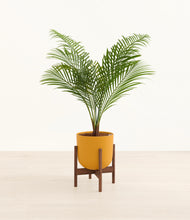 Load image into Gallery viewer, Sunset Orange stand:walnut