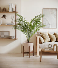 Load image into Gallery viewer, Sandy Pink stand:walnut