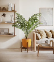 Load image into Gallery viewer, Sunset Orange stand:walnut