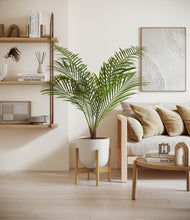 Load image into Gallery viewer, Natural Bamboo stand:bamboo