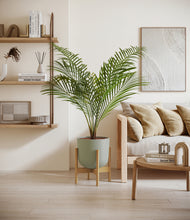 Load image into Gallery viewer, Sage Green stand:bamboo