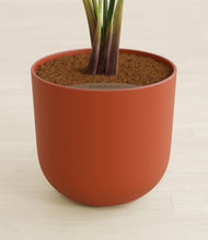 Load image into Gallery viewer, Earth Red stand:all