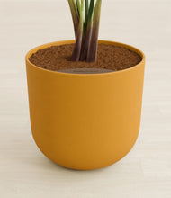 Load image into Gallery viewer, Sunset Orange stand:all