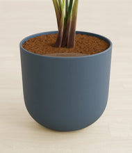 Load image into Gallery viewer, Iron Gray stand:all