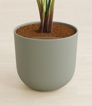 Load image into Gallery viewer, Sage Green stand:all