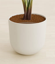 Load image into Gallery viewer, Natural Bamboo stand:all