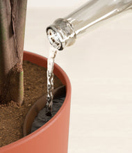 Load image into Gallery viewer, Earth Red stand:all