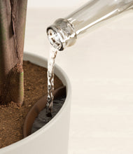 Load image into Gallery viewer, Natural Bamboo stand:all