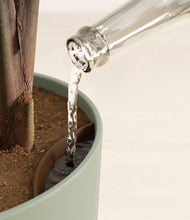 Load image into Gallery viewer, Sage Green stand:all