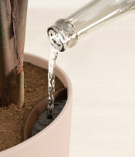 Load image into Gallery viewer, Sandy Pink stand:all