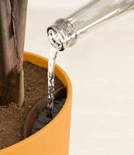 Load image into Gallery viewer, Sunset Orange stand:all