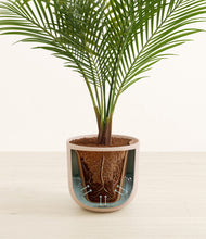 Load image into Gallery viewer, Sage Green stand:all