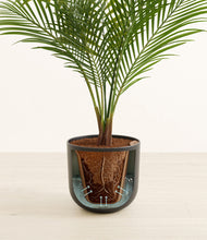 Load image into Gallery viewer, Sandy Pink stand:all