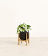 Load image into Gallery viewer, Black stand:bamboo