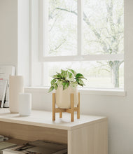 Load image into Gallery viewer, Almond Green stand:bamboo