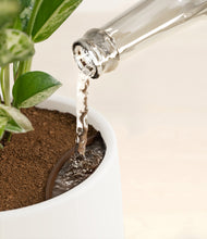 Load image into Gallery viewer, White stand:all