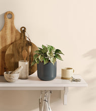 Load image into Gallery viewer, Iron Gray