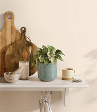 Load image into Gallery viewer, Reactive Aqua