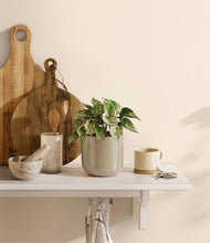 Load image into Gallery viewer, Sage Green