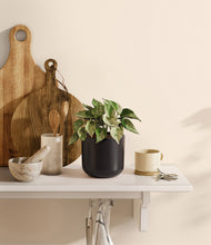 Load image into Gallery viewer, Stone Black