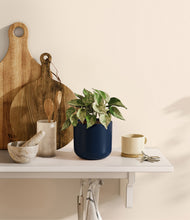 Load image into Gallery viewer, Twilight Blue